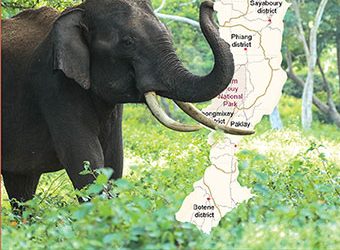 Kou Yang Book Explores Homeland Of ‘Sayaboury – Land Of A Million Elephants Of Laos’