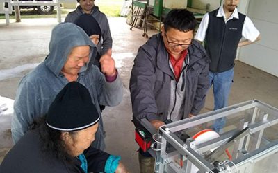 University of St. Thomas Engineering Students Develop a Brussel Sprouts Trimmer for Hmong Farmers