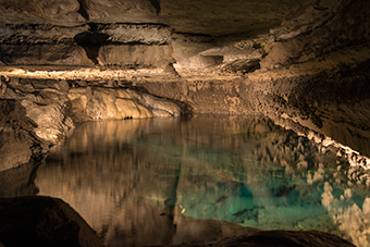 Forestville/Mystery Cave State Park