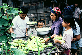 MINORS ASIA – #7 In A Series For Hmong Times The Basics: Supplemental Food