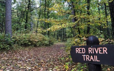 Discovering History And Hidden Gems At Crow Wing State Park