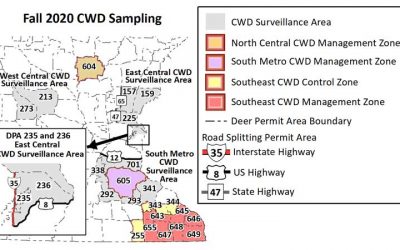 DNR: Deer Hunters Should Plan Ahead And Check Latest Rules