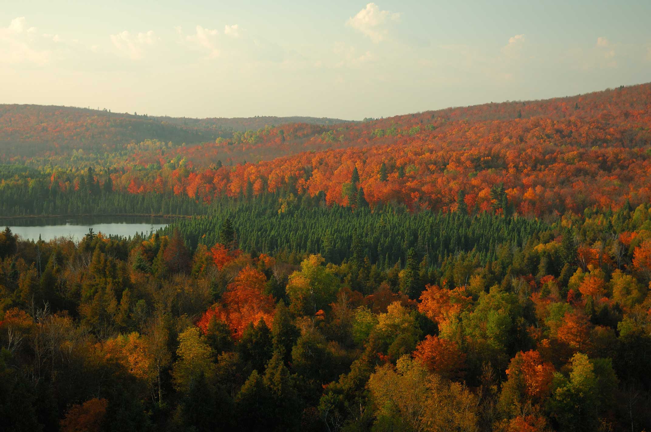 Don t Miss The Show On These Minnesota State Forest Fall Color