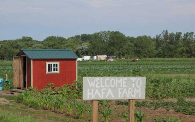 The Hmong American Farmers Association Is Included In The 2020 Minnesota State Legislature Infrastructure Bonding Bill