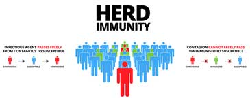 What About Herd Immunity