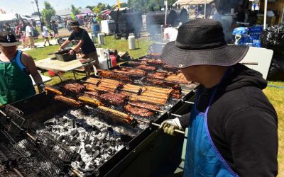 The Hmong International Freedom Festival Excitement Grows