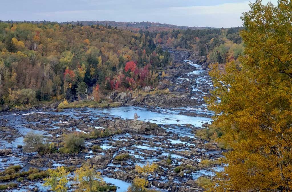 Reasons For Visiting What Already Belongs To You: A Minnesota State Park Or Trail