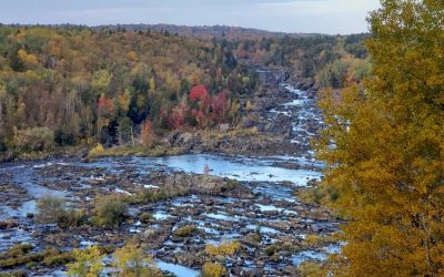 Reasons For Visiting What Already Belongs To You: A Minnesota State Park Or Trail