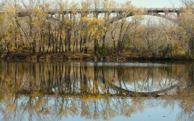 Free Park Day: A Family Adventure Awaits At Fort Snelling State Park