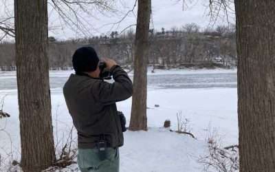 Adventures At Fort Snelling State Park – A Quest For Wintering Birds