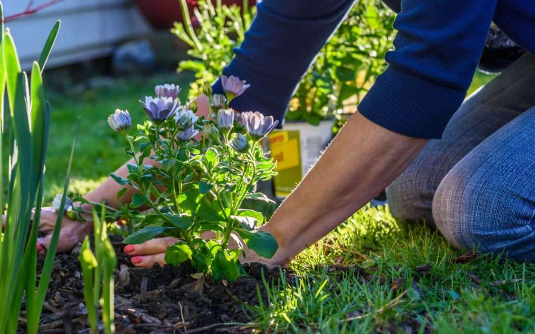 How To Pick The Right Plants For Your Location