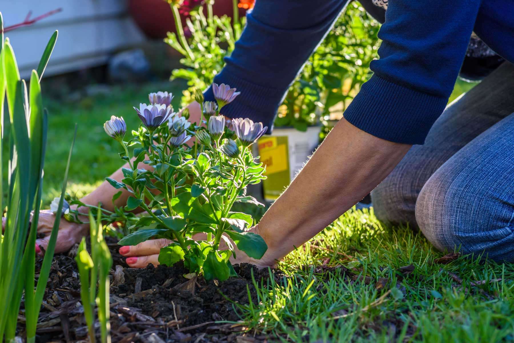 4-1-Planting-image
