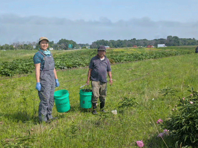 5-1-Hmong-Farmers-in-field