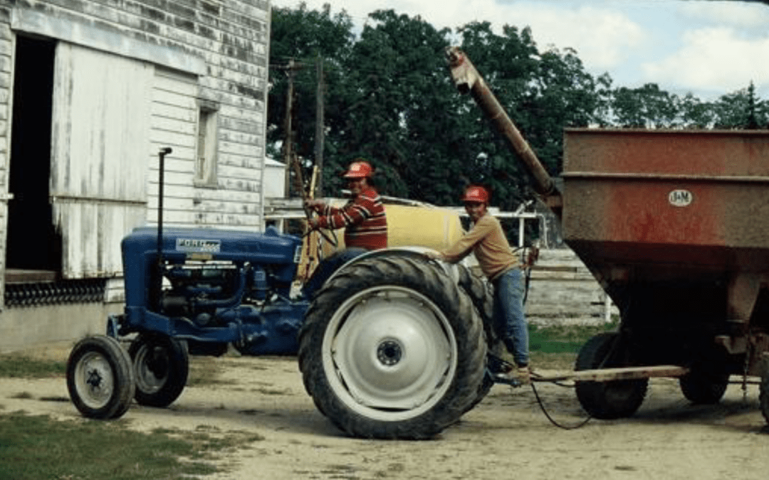 50 Years Of The Hmong Experience In Minnesota Special Issue Of Hmong Studies Journal